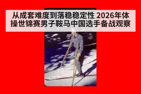 从成套难度到落稳稳定性 2026年体操世锦赛男子鞍马中国选手备战观察